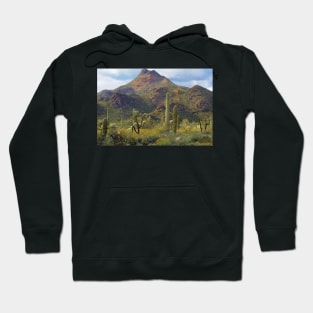 Saguaro And Teddybear Cholla Hoodie